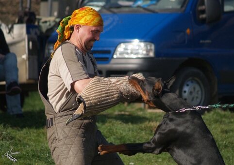 Santa Julf Efrat - training 4. 4. 2007